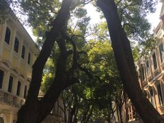 -星巴克臻选(广州沙面店)