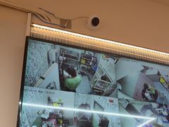 -唐小姐の私宠·宠物洗护美容·撸猫馆·购宠(周浦万达旗舰店)