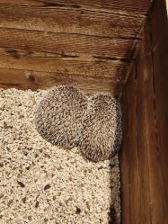 -酷嗒动物文化乐园(cutezoo西溪乐天城店)