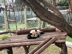 -重庆动物园·东二门售票处