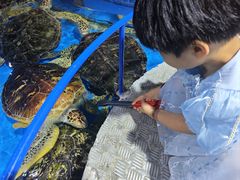 -泉城欧乐堡海洋极地世界