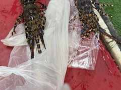 -芭提雅海鲜市场