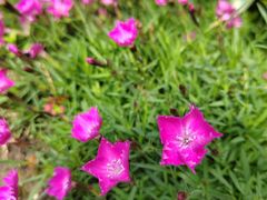 -井水小厨·湘菜(活力广场店)