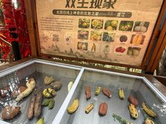 -墨江北回归线标志园