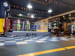 -臻元搏击格斗泰拳拳馆(港隆店)
