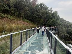 -黄埔油麻山森林公园