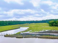 -溱湖国家湿地公园