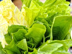 -鸽鸟轩(石岐店)