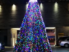 -明城五号烤鸭坊(建国门店)