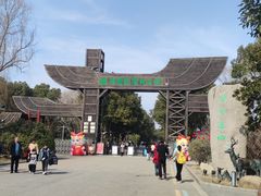 -溱湖国家湿地公园