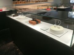 -BLACKSWAN黑天鹅(环球店)