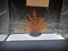 -金来·影院足道(埃美柯店)