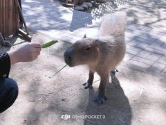 -南昌动物园