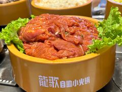 -龍歌自助小火锅(市北CBD万达店)