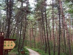 -帽儿山国家森林公园