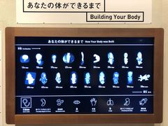 -日本科学未来馆