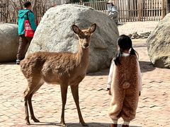 -水上乐园·欢乐世界