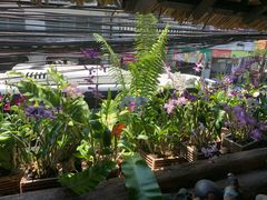 -自然餐厅(Phuket)