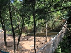 -西霞口神雕山野生动物世界