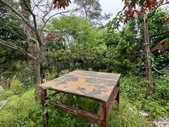 -南山植物园