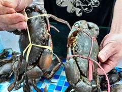 -养牛邓·潮汕牛肉海鲜自助火锅(广州店)