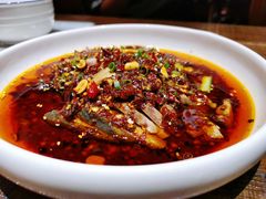 凉拌鸡-铁公鸡·四川料理(天环广场店)
