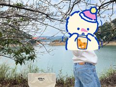 -广州市流溪河国家森林公园