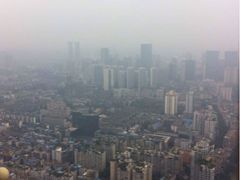 iphone_upload_pic-339旋转餐厅(天府熊猫塔店)