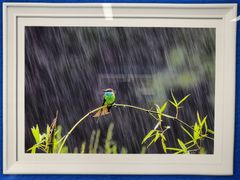 -取水楼(地铁站)