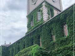 -半岛公馆(淞兴西路店)