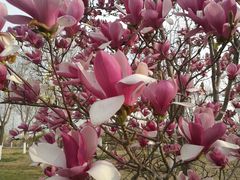 -永定河休闲森林公园