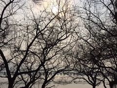 -宝安西湾红树林湿地公园