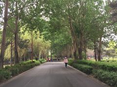 -长春公园(普阳街道)