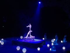 -珠海横琴长隆《卡卡虎奇遇记》