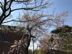 -仙游岛公园
