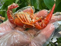 -云晓光头烧烤吧(德平路店)