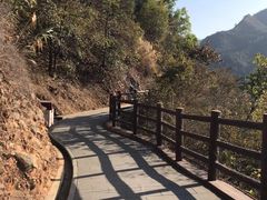 -羚羊峡古栈道森林公园