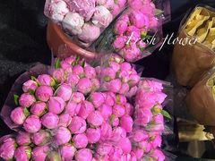 -循礼门鲜花花市(武汉循礼门店)