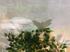 -印象莫奈时光映迹艺术展