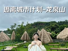 -桃源山庄·水蜜桃采摘·柴火鸡·烧烤团建(龙泉山店)