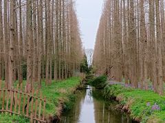 -东平国家森林公园