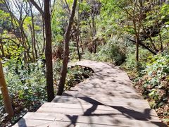 -大岭沟猕猴桃谷风景区