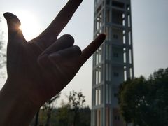 -崇明东平国家森林公园烧烤房车露营地