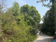 -虞山风景区