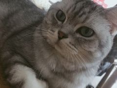 -平行世界·猫咖(首经贸店)