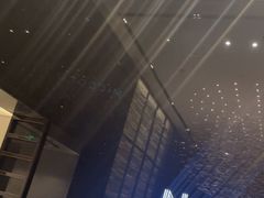 -长沙尼依格罗酒店
