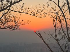 -忘不了渔村(将军大道店)
