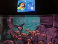 -常州海昌海洋探索馆