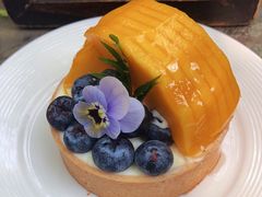 -Fern Forest Cafe