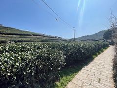 -听风阁农家私房菜茶楼(龙坞店)